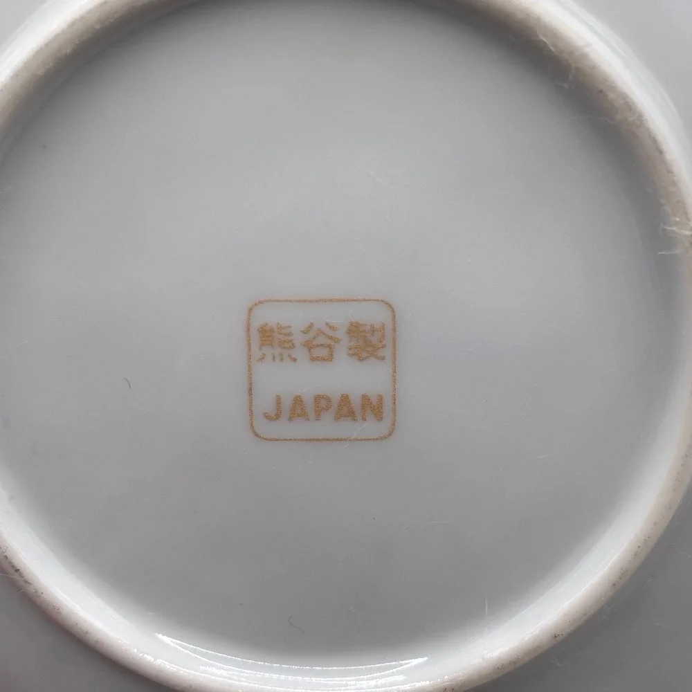 Set of 6 Tea Cup and Saucer Lithopane Japan Bone China Gold Trim Vintage